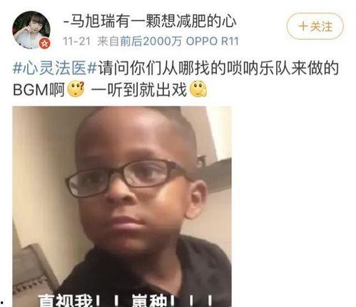 吃瓜bgm音乐,跟随吃瓜bgm，探寻音乐中的夏日风情