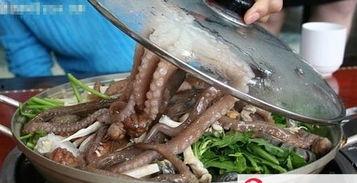 吃瓜活章鱼,揭秘海洋生物的趣味食趣