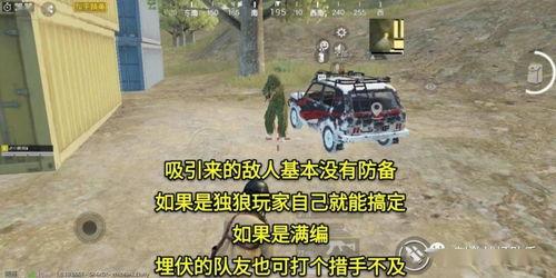 吃鸡吃瓜动作,揭秘网络热词背后的趣味生活