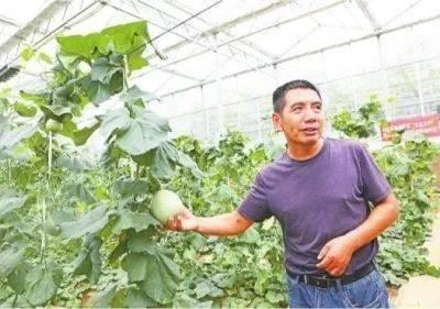 江夏区吃瓜,吃瓜群众的欢乐盛宴