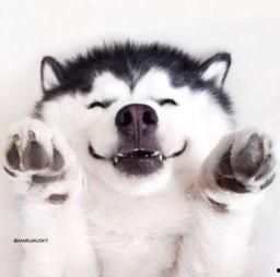 恐怖吃瓜视频大全,恐怖吃瓜视频大全盘点