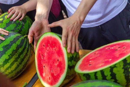 吃瓜的椰子,揭秘吃瓜椰子的独特魅力