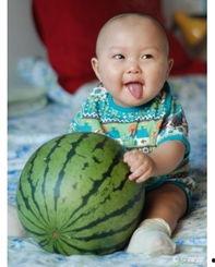 吃瓜怎么有趣回答,揭秘趣味吃瓜指南