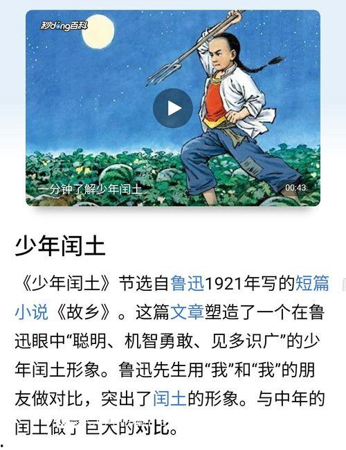 吃瓜界的猹,揭秘网络热词背后的故事