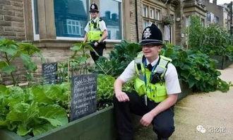 清风小镇东营吃瓜