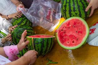 沈阳最新吃瓜视频,揭秘幕后真相，热点事件再掀波澜