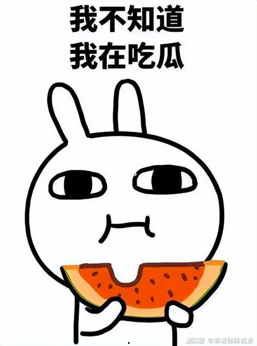 吃瓜纯元亲嘴,吃瓜群众目睹纯元亲嘴瞬间