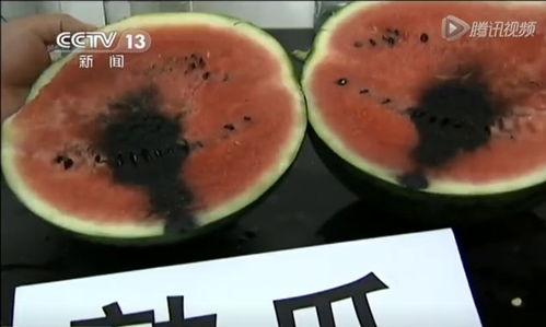 带你吃瓜吃奇葩西瓜视频,带你探索那些奇葩西瓜视频背后的故事